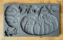 Load image into Gallery viewer, Hello Pumpkin IOD Holiday Mould