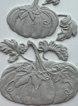 Load image into Gallery viewer, Hello Pumpkin IOD Holiday Mould