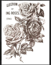 Load image into Gallery viewer, May’s Roses IOD Decor Transfer