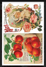 Load image into Gallery viewer, Seed Catalogue IOD Decor Transfer
