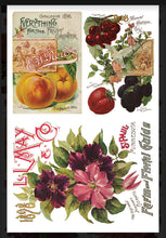 Load image into Gallery viewer, Seed Catalogue IOD Decor Transfer