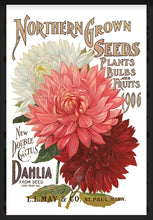 Load image into Gallery viewer, Seed Catalogue IOD Decor Transfer