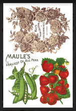 Load image into Gallery viewer, Seed Catalogue IOD Decor Transfer