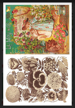 Load image into Gallery viewer, Seed Catalogue IOD Decor Transfer