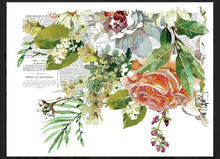 Load image into Gallery viewer, Elysium IOD Decor Transfer