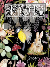 Load image into Gallery viewer, Whispering Willow IOD Decor Transfer