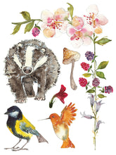Load image into Gallery viewer, Whispering Willow IOD Decor Transfer