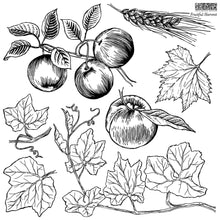 Load image into Gallery viewer, Fruitful Harvest Stamps