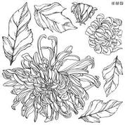 Load image into Gallery viewer, Chrysanthemum Stamps
