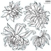Load image into Gallery viewer, Chrysanthemum Stamps
