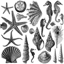 Load image into Gallery viewer, Seashore Decor Stamp with Reusable Masks