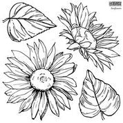 Load image into Gallery viewer, Sunflowers Stamps