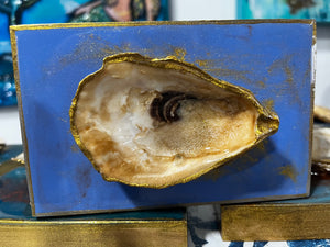 Oyster Shell Shelf Sitter on Light Blue Background