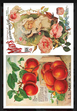 Load image into Gallery viewer, Seed Catalogue IOD Decor Transfer
