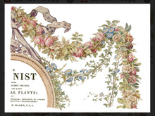 Load image into Gallery viewer, The Botanist IOD Decor Transfer
