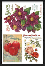 Load image into Gallery viewer, Seed Catalogue IOD Decor Transfer
