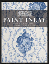 Load image into Gallery viewer, Trompe l’oeil Blue IOD Paint Inlay
