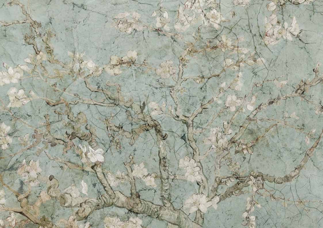 Almond Blossom - Decoupage Queen - A4 Rice Paper