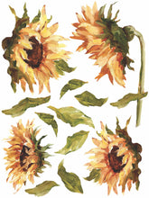 Load image into Gallery viewer, Painterly Florals IOD Decor Transfer
